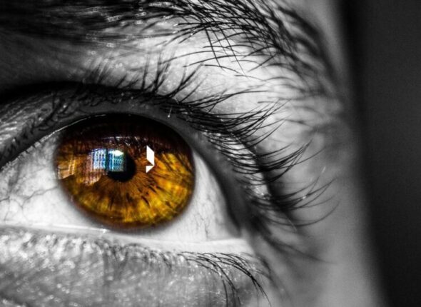 Educitia, plataforma educativa que revoluciona el aprendizaje con cursos online en vivo, diseñada para el futuro de los negocios y el liderazgo