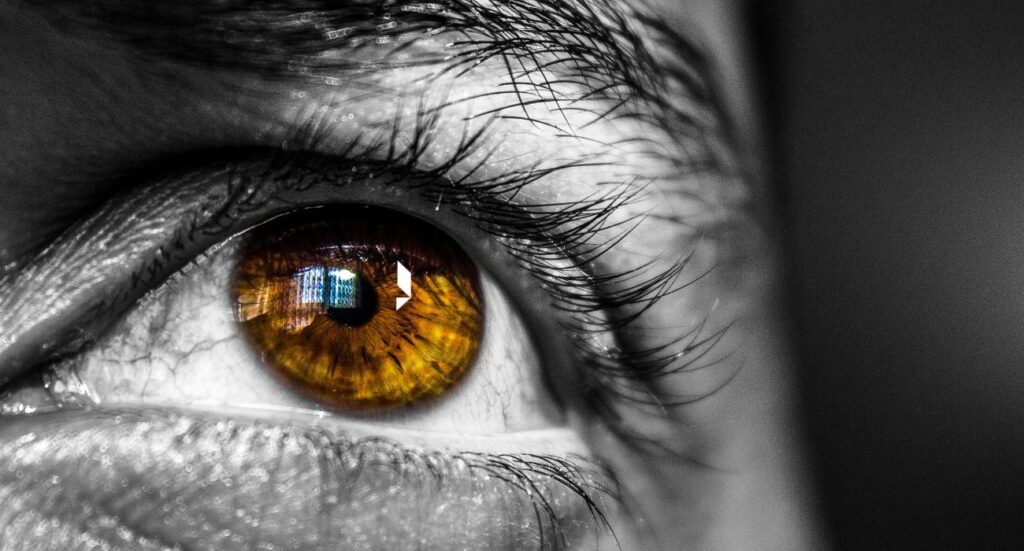 Educitia, plataforma educativa que revoluciona el aprendizaje con cursos online en vivo, diseñada para el futuro de los negocios y el liderazgo